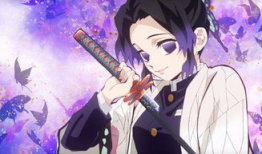 对魔忍动漫,暗影中的剑客传奇